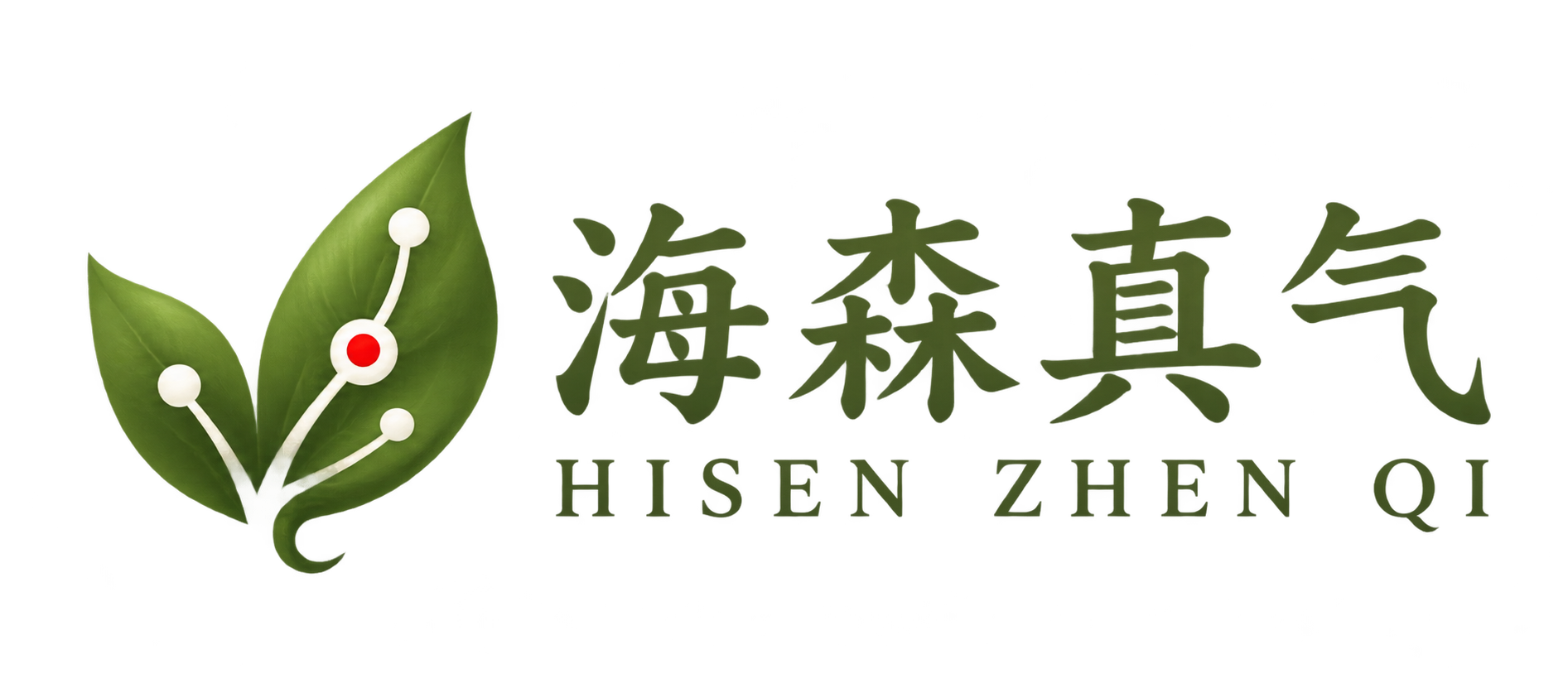 海森真气