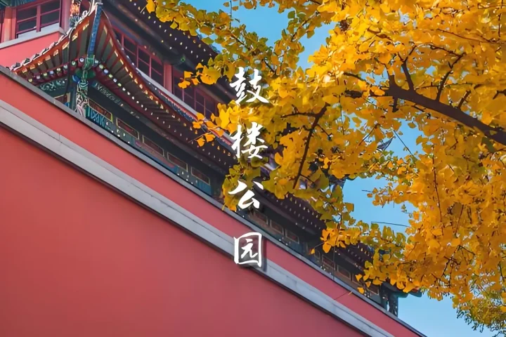 南京太极拳、八段锦与站桩课程