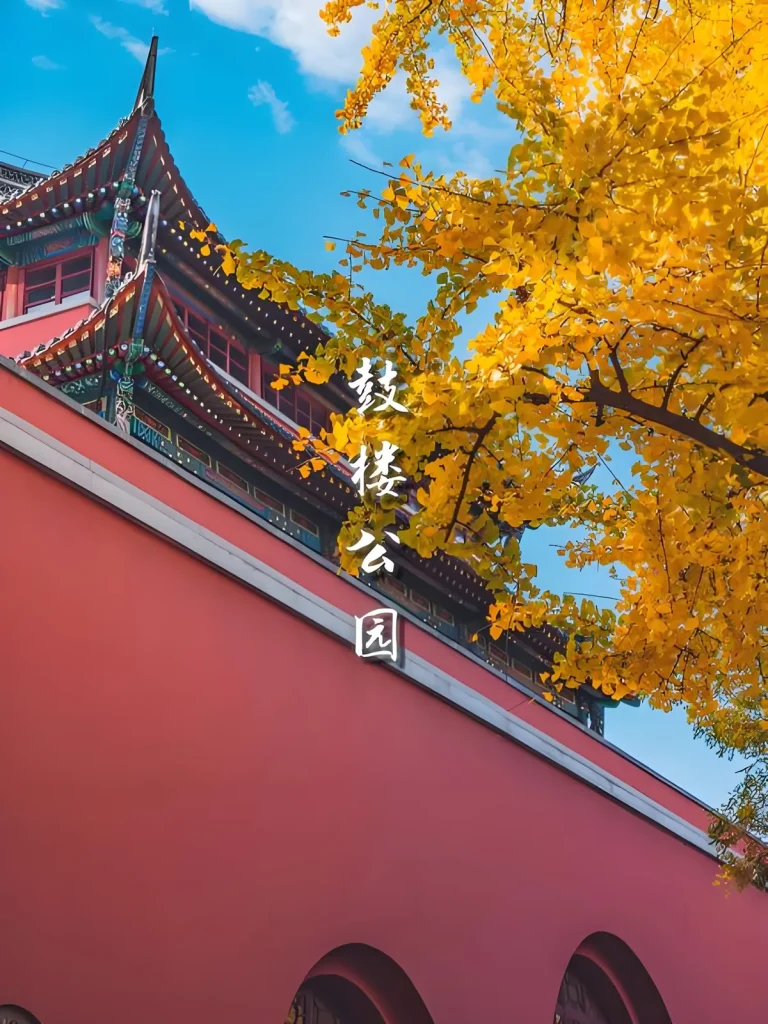南京太极拳、八段锦与站桩课程